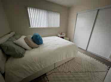 Looking for a new roommate!