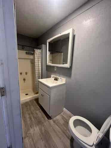 Freshly refurbished 1BDR apt