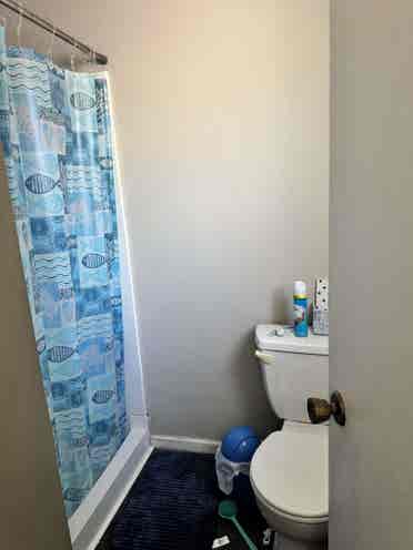 Looking for roommate!