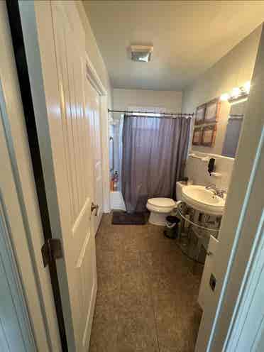 Roomate needed
