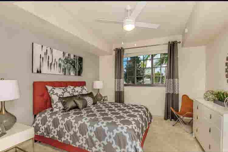 Looking for a cool roomie !