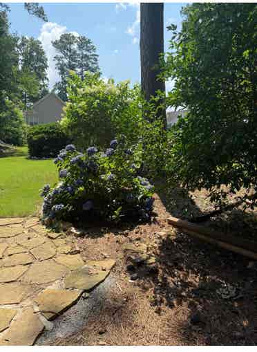 KSU females only- Serene setting!