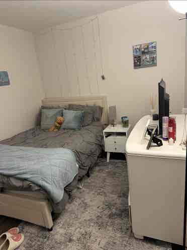Looking for a 3rd Female Roommate!