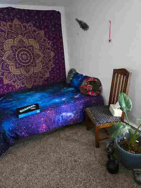 Private bedroom available now
