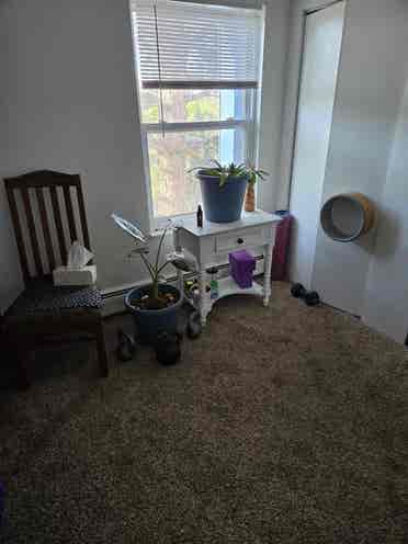 Private bedroom available now