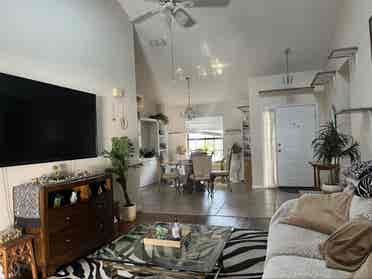 Housemate(s) needed!