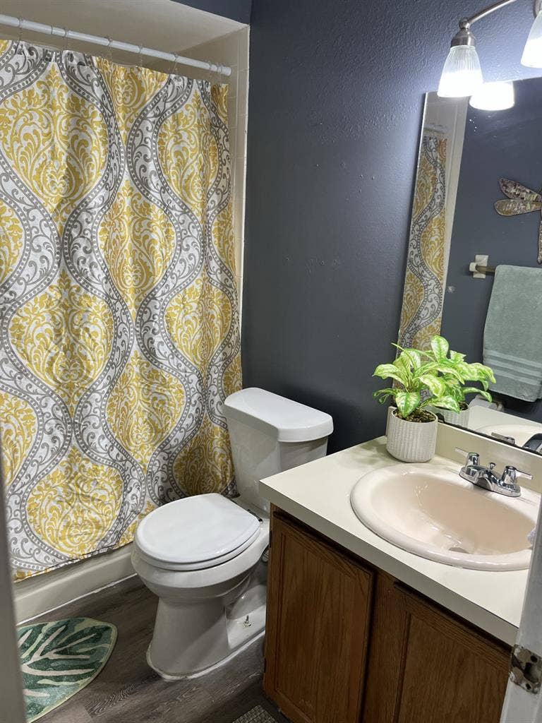 Housemate(s) needed!