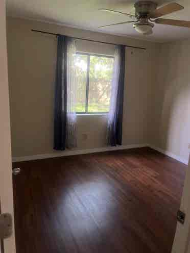 Housemate(s) needed!