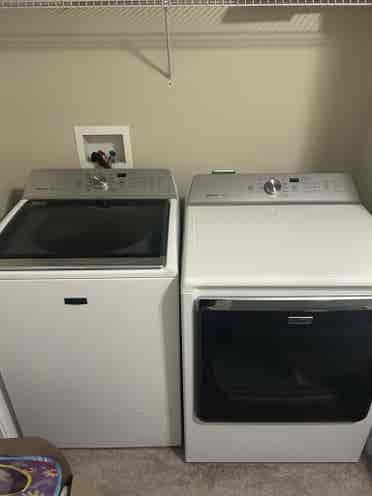 Private room and bathroom for rent