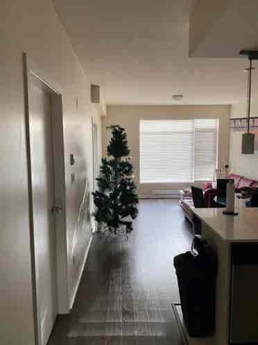 Fully Furnished 2-bedroom Apartment