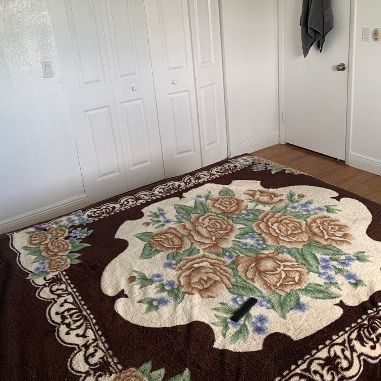 Private Room + Bath in Apartment