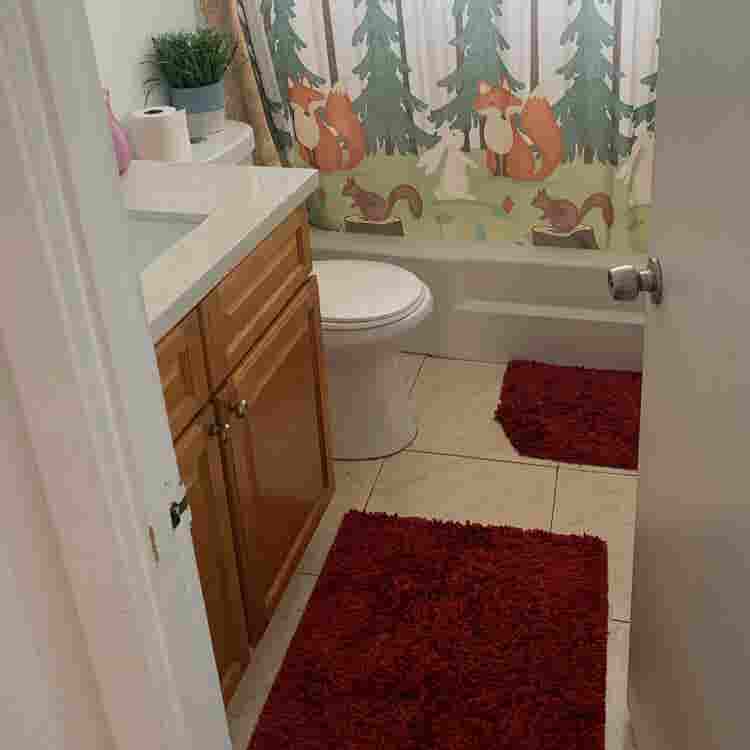Private Room + Bath in Apartment