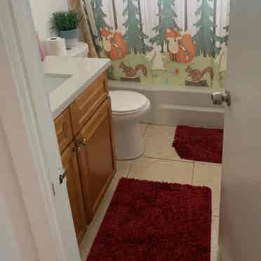 Private Room + Bath in Apartment