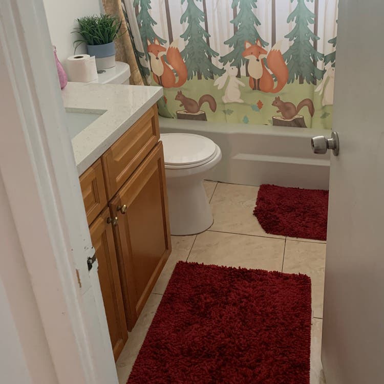 Private Room + Bath in Apartment