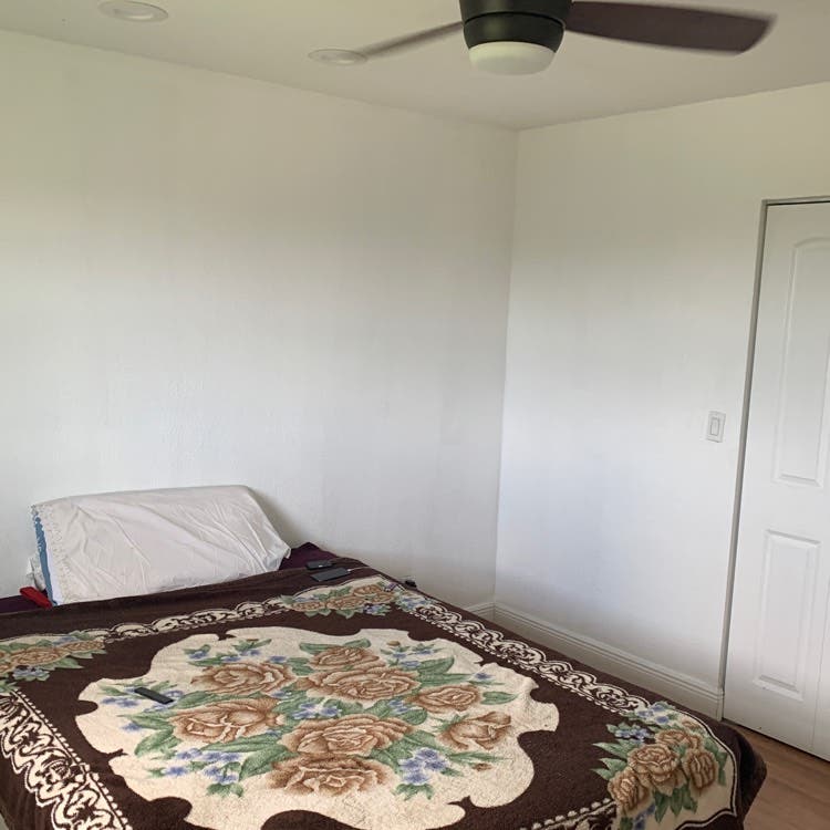Private Room + Bath in Apartment