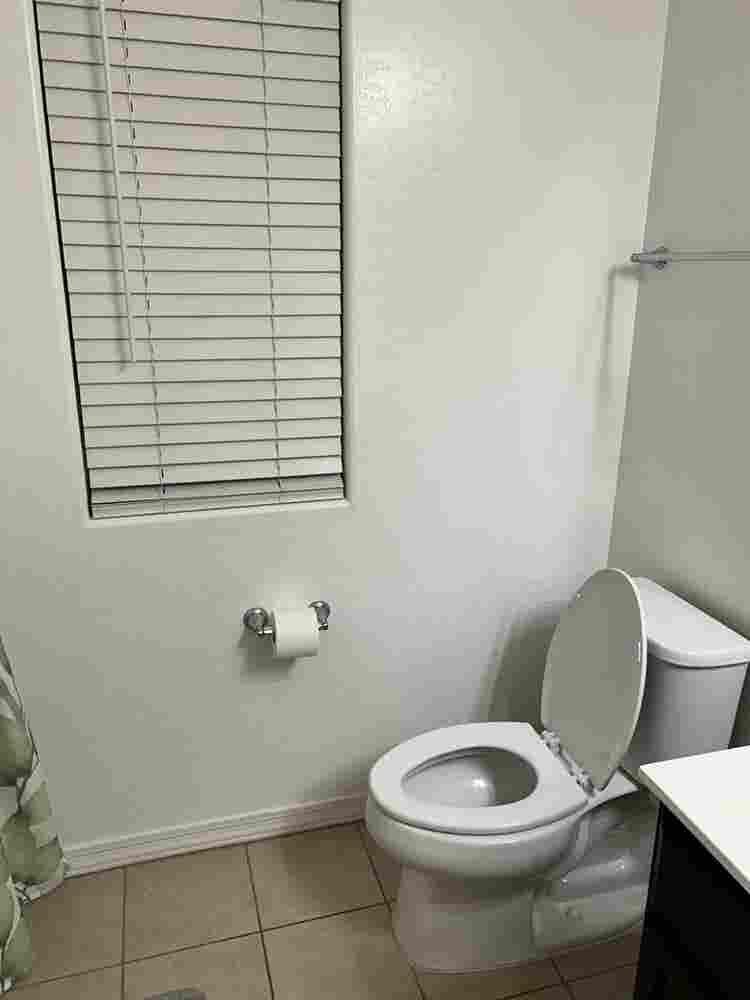 Looking for a Roomie Now!!!!