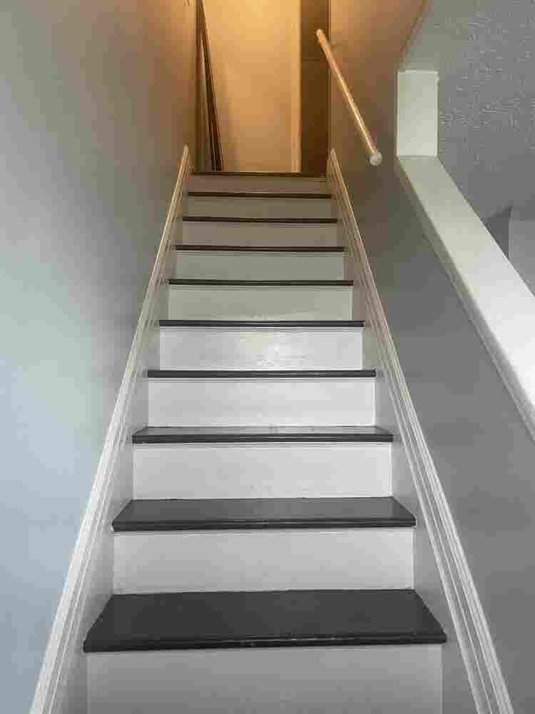 Looking for a roomie!