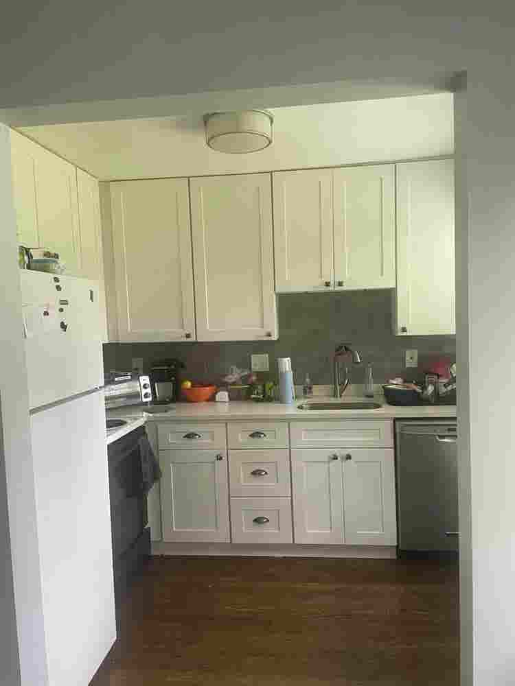 Looking for a roomie!
