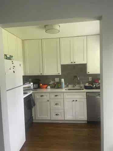 Looking for a roomie!