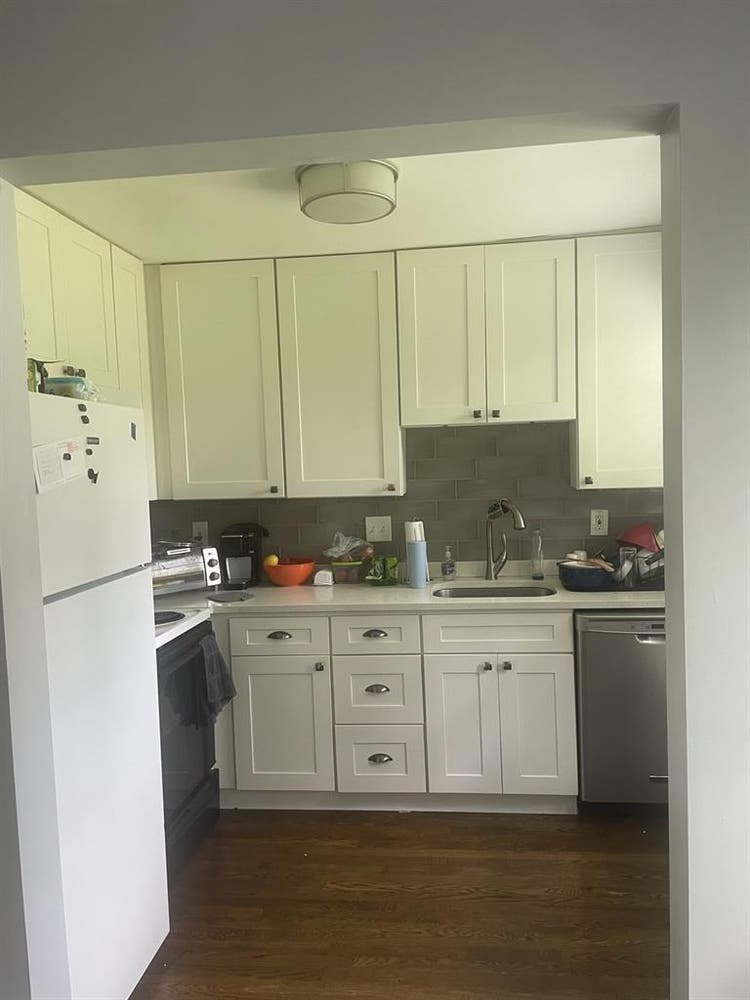 Looking for a roomie!