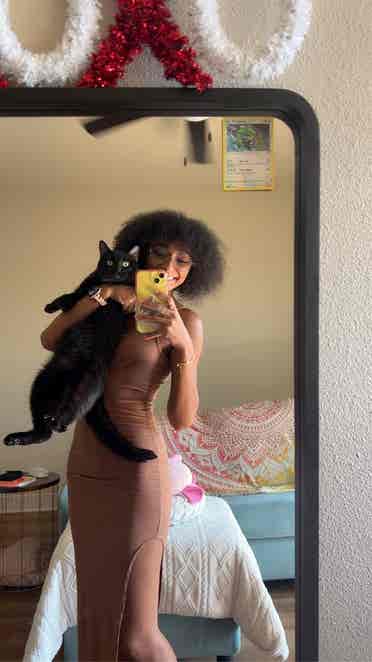 Roomie wanted in Wheat Ridge!