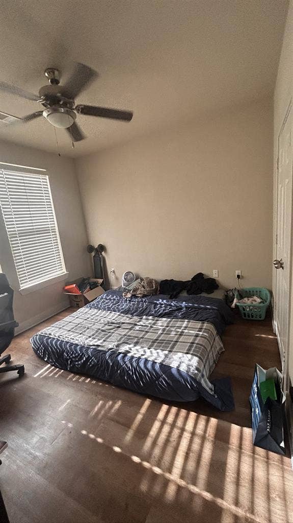 Roomie wanted in Wheat Ridge!