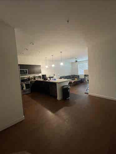 Needing roommate to fill double!
