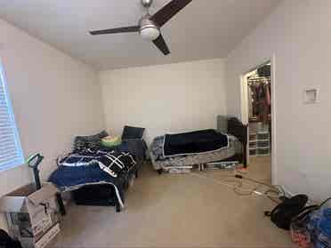 Needing roommate to fill double!