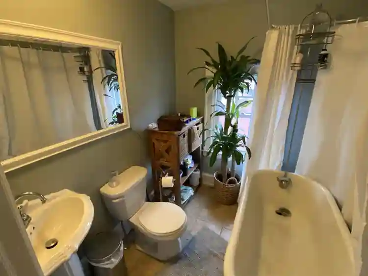 Big beautiful home in New Center