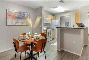 SUBLEASING at Rams Pointe RENT $