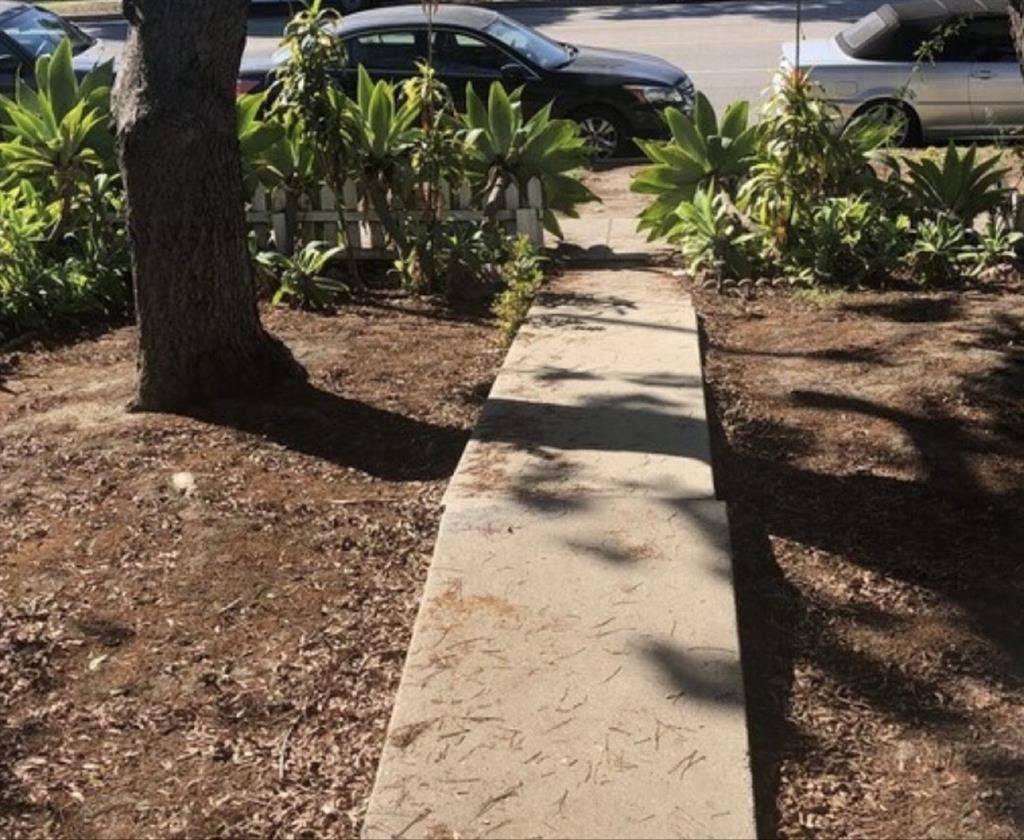Suburb House available immediately