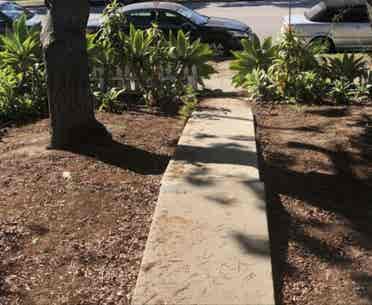 Suburb House available immediately