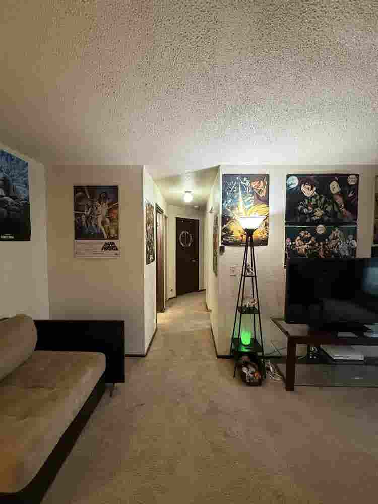 Maplewood Apartment Cheap