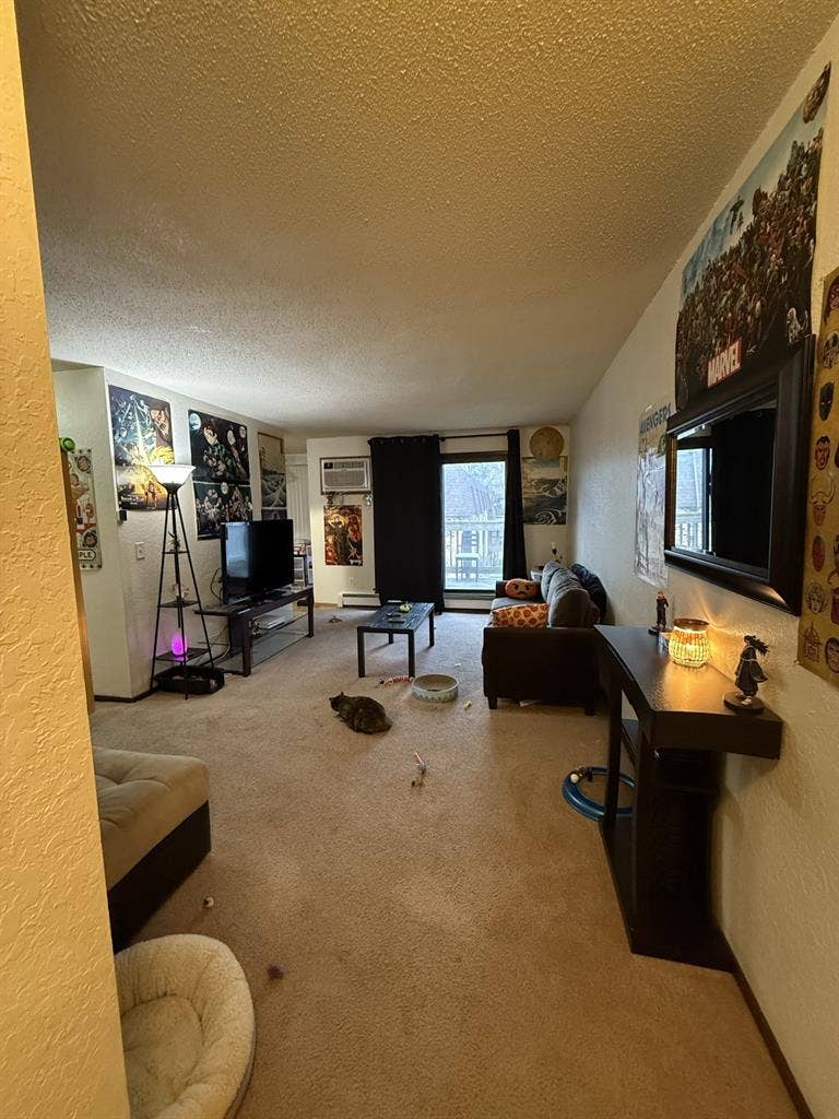 Maplewood Apartment Cheap