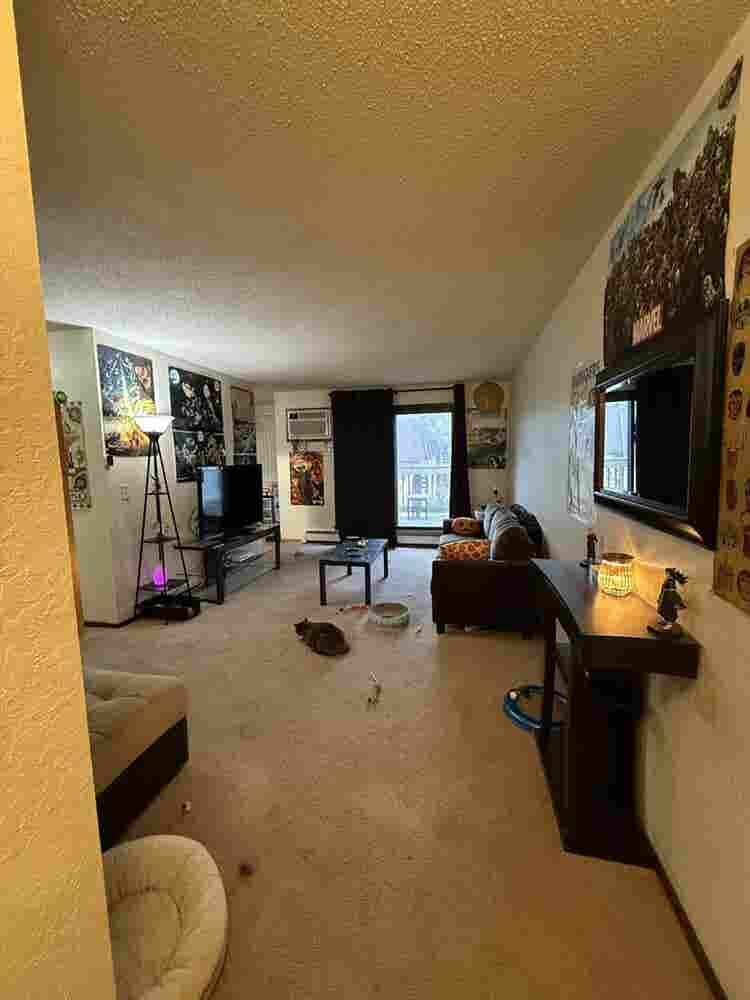 Maplewood Apartment Cheap