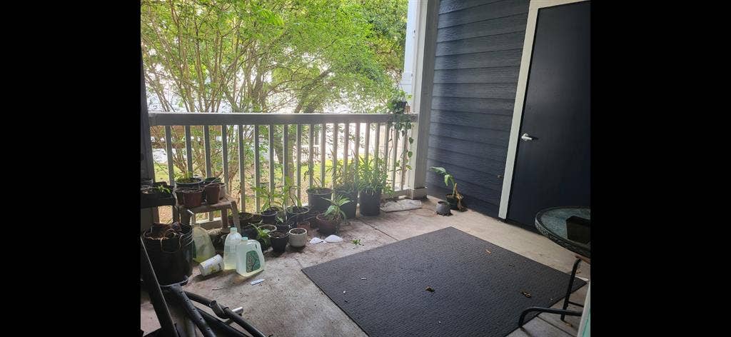 Looking for Female Roomate in B