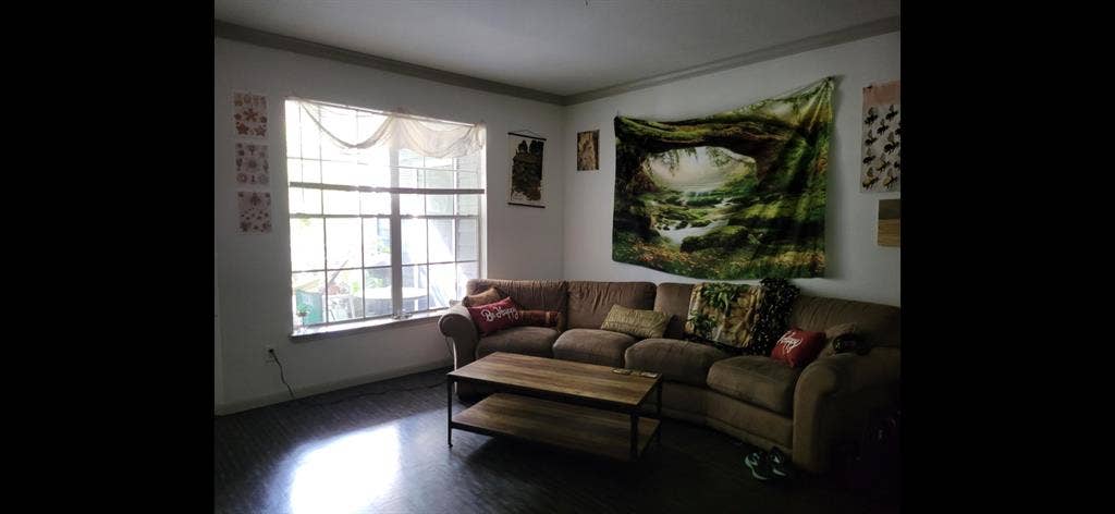 Looking for Female Roomate in B