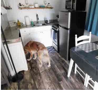 Studio- All Utilities included.