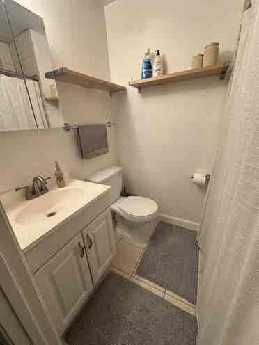 Basement for rent!