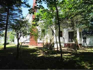 Large sunny room for rent