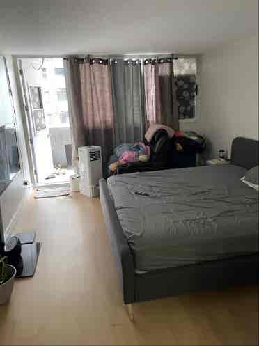 Girl roommate wanted