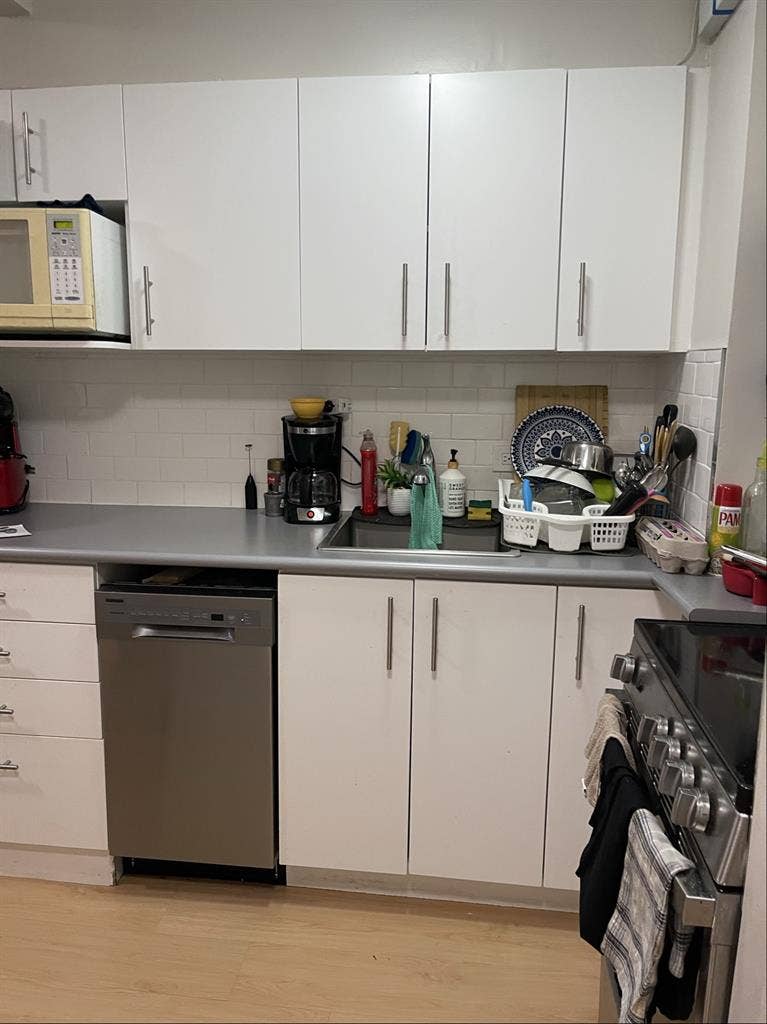 Girl roommate wanted