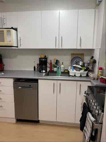 Girl roommate wanted