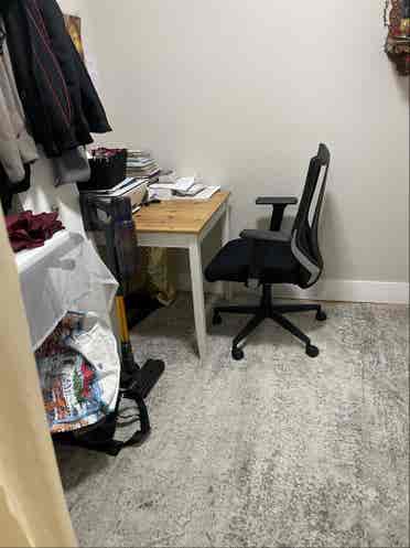 Girl roommate wanted