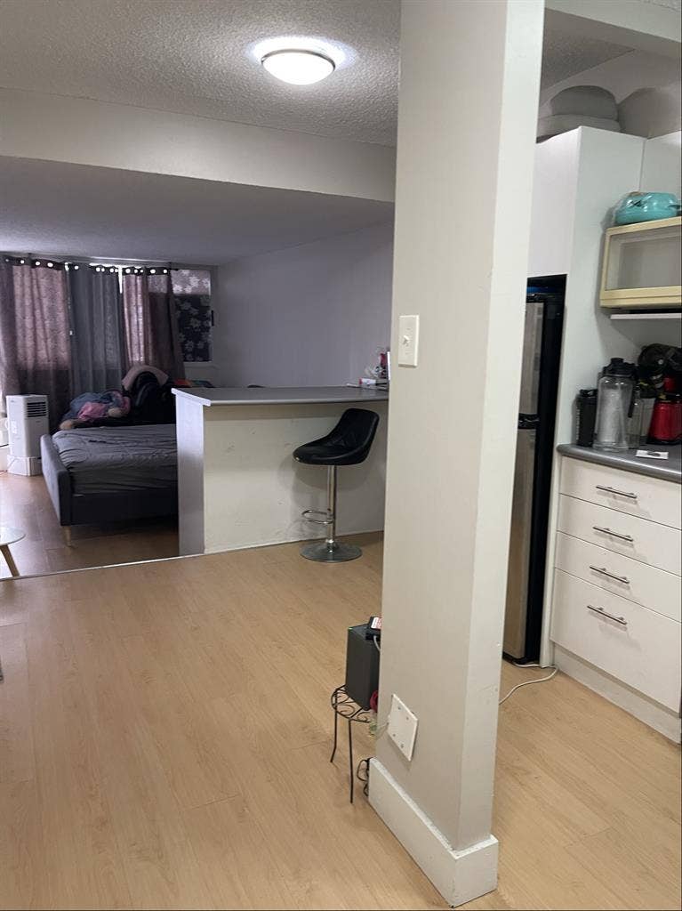 Girl roommate wanted