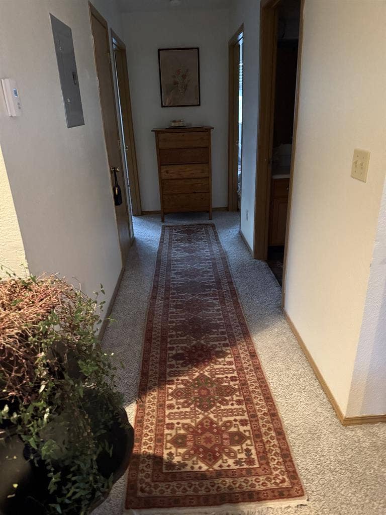 Looking for roommate