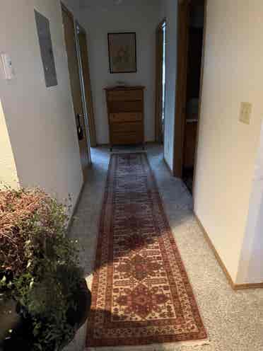 Looking for roommate
