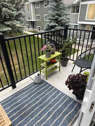 Looking for roommate