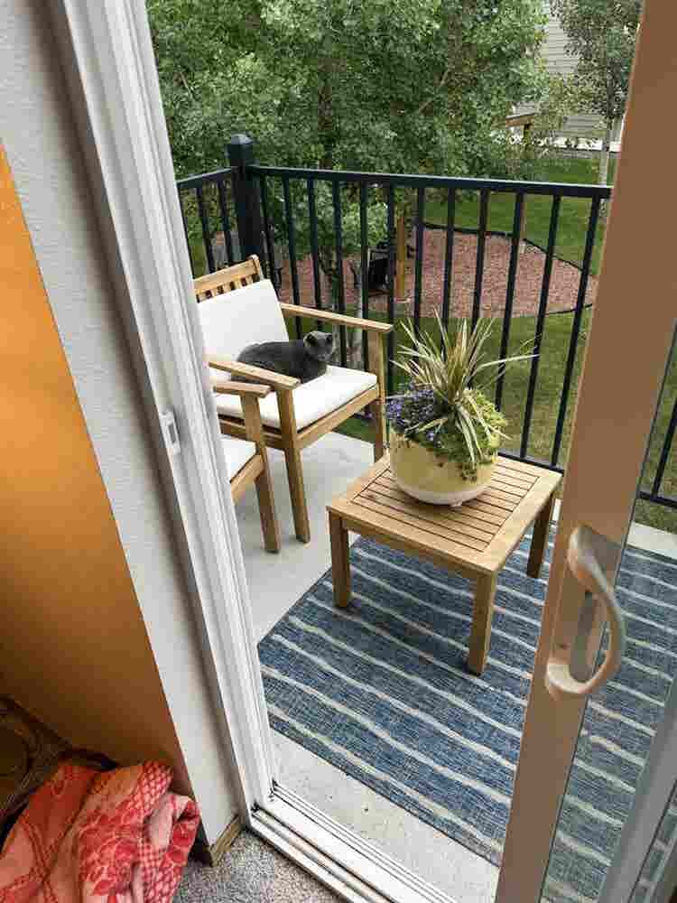 Looking for roommate