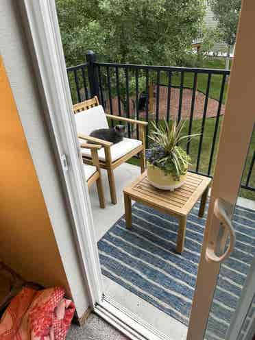 Looking for roommate